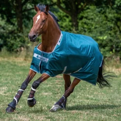 Bucas Atlantic 200 Gram Turnout Blanket