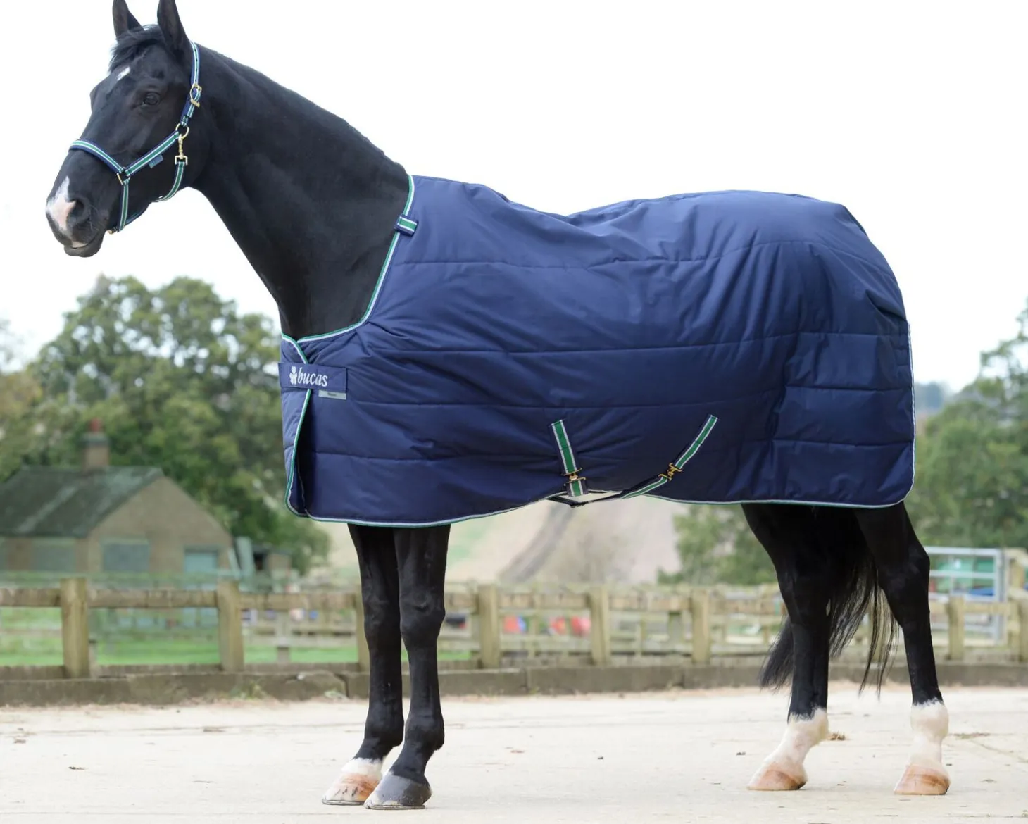 Bucas Quilt Medium-Weight Stable Blanket with Stay Dry™ Lining - 150 grams