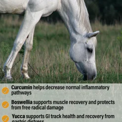 Bute-Less® Performance Comfort & Recovery Pellets