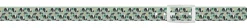 C4 Dover Saddlery® Exclusive Belt