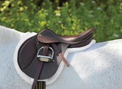 Circuit™ Premier Special DS Saddle