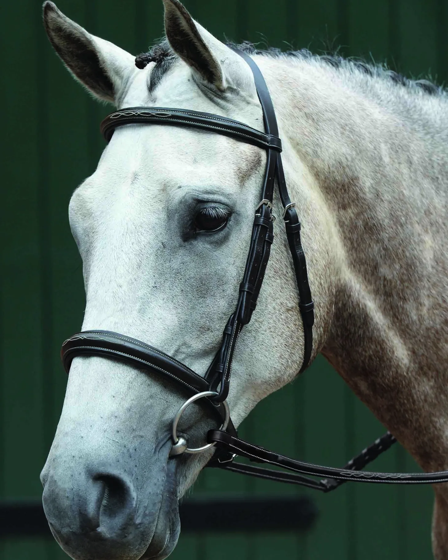 Collegiate® Essential Padded Raised Fancy-Stitched Caveson Bridle