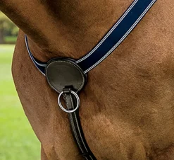 DS 3-Point Breastplate