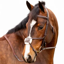 Equinavia Valkyrie Fancy-Stitched Figure-8 Bridle & Reins