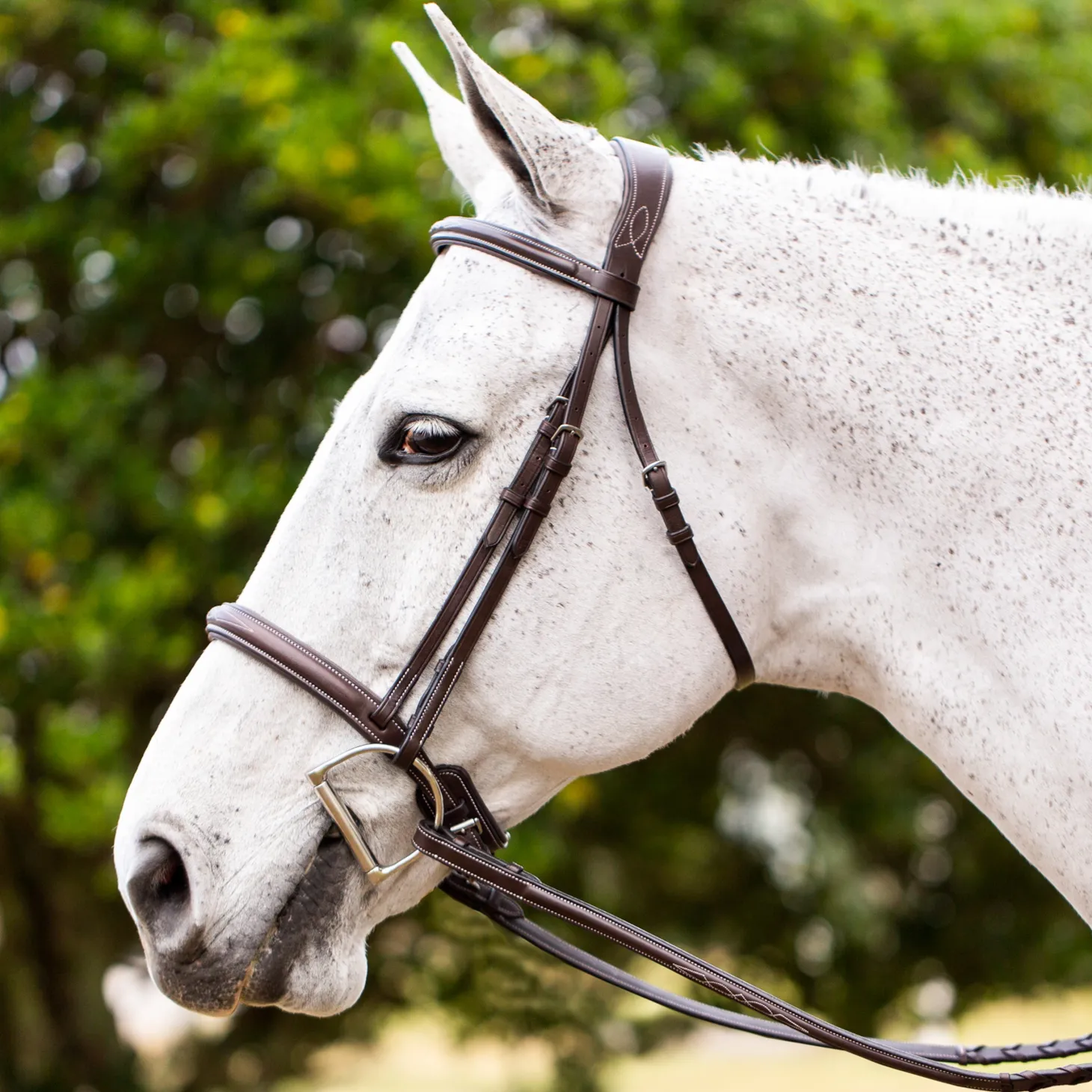 Equinavia Valkyrie Fancy-Stitched Hunter Bridle & Reins