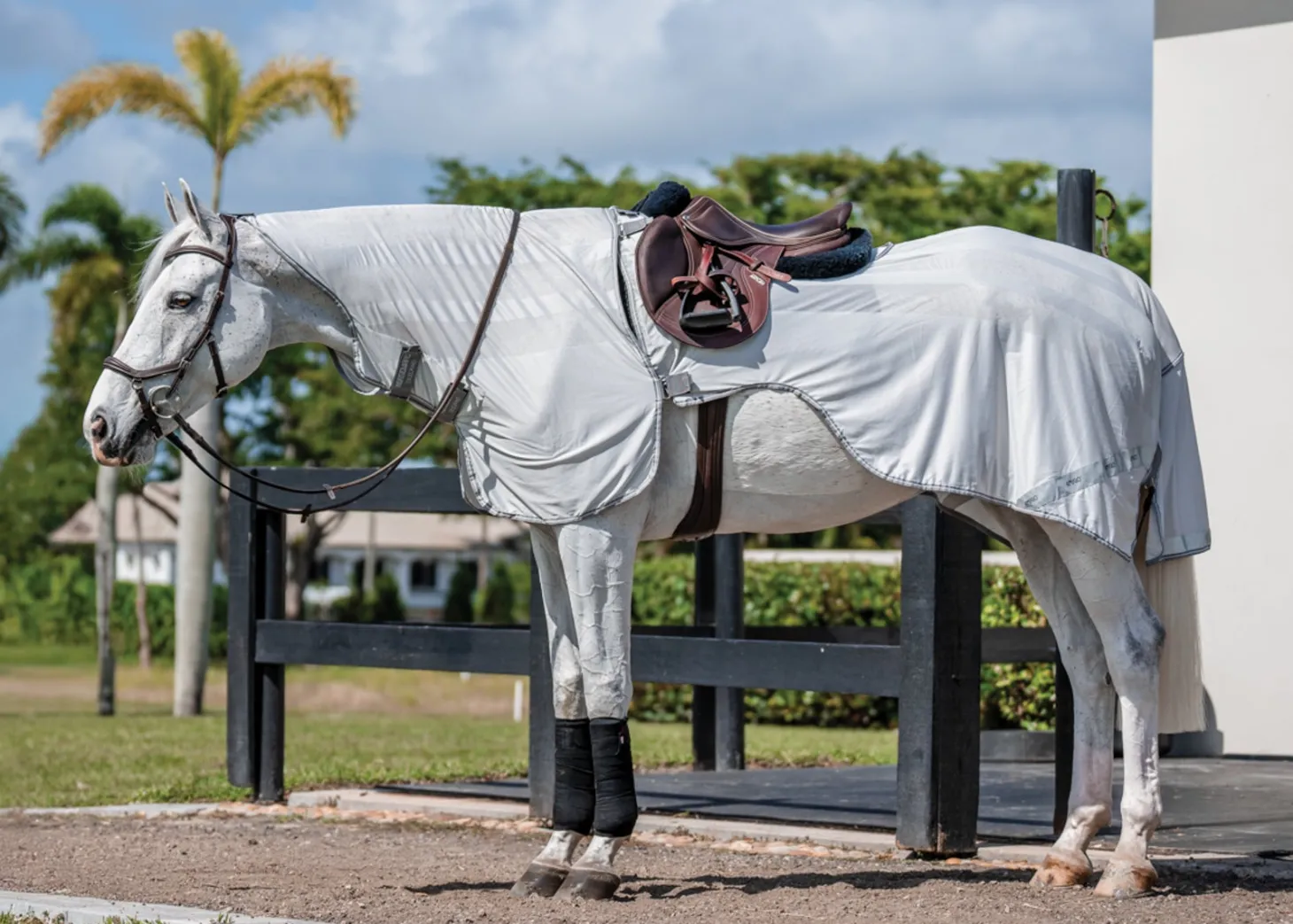 Horseware® Ireland Amigo® Flyrider