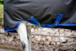 Horseware® Ireland Amigo® Ripstop 900D 100 Gram Standard Neck Pony Turnout