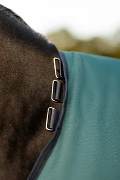 Horseware® Ireland Amigo® Ripstop 900D 100 Gram Standard Neck Pony Turnout–Seasonal Color