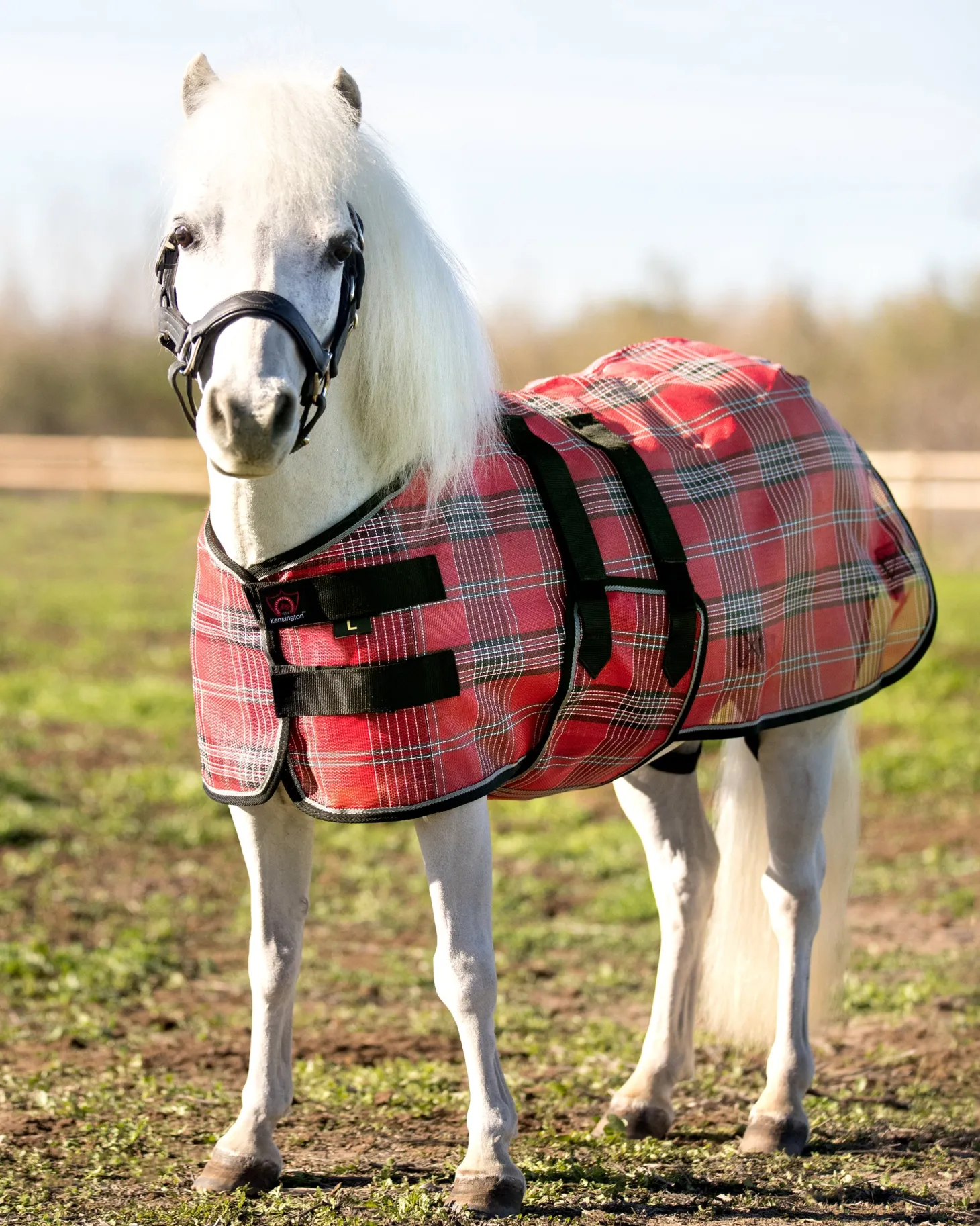 Kensington™ Mini Signature Textilene® Protective Fly Sheet