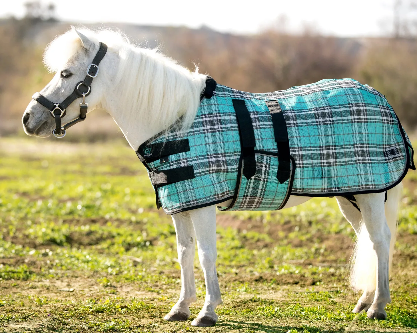 Kensington™ Mini Signature Textilene® Protective Fly Sheet