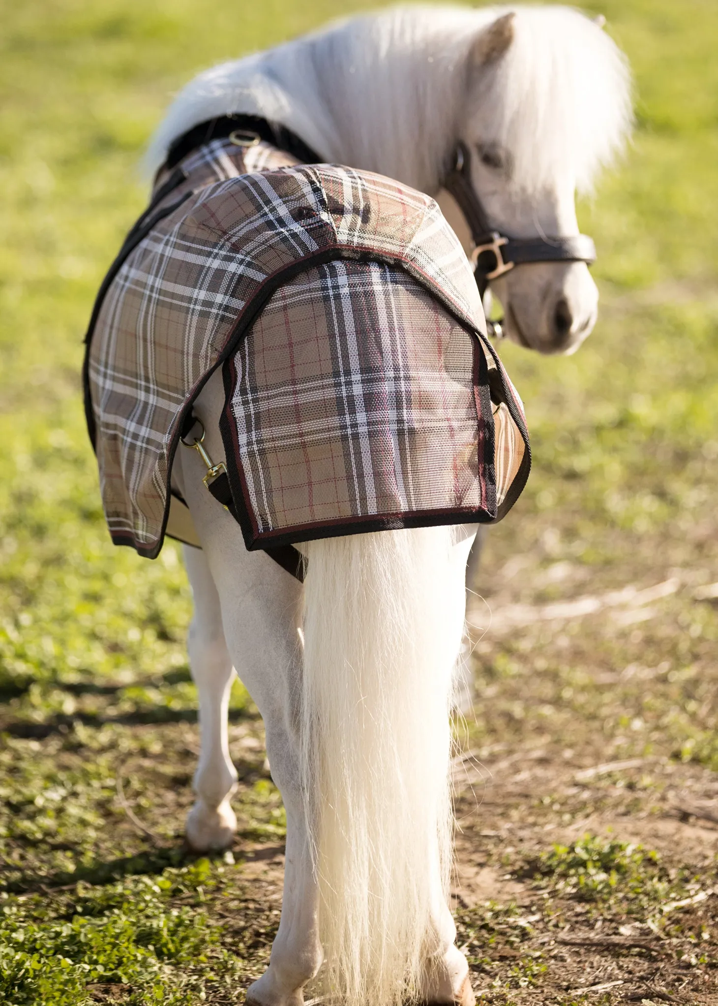 Kensington™ Mini Signature Textilene® Protective Fly Sheet