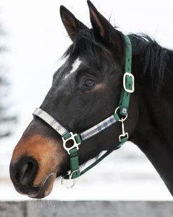 Kensington™ Premium Halter