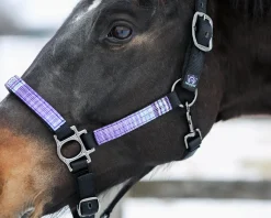 Kensington™ Premium Halter