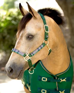 Kensington™ Premium Halter