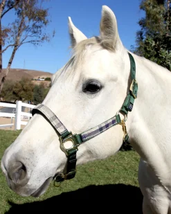 Kensington™ Premium Halter
