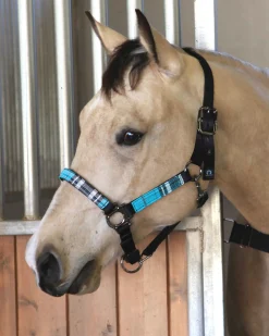 Kensington™ Premium Halter
