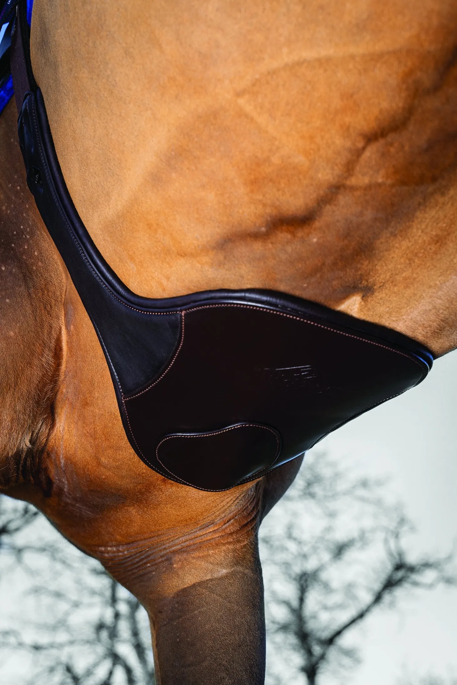 LeMieux® Gel-Tek Anatomic Long Stud Girth with Magnet