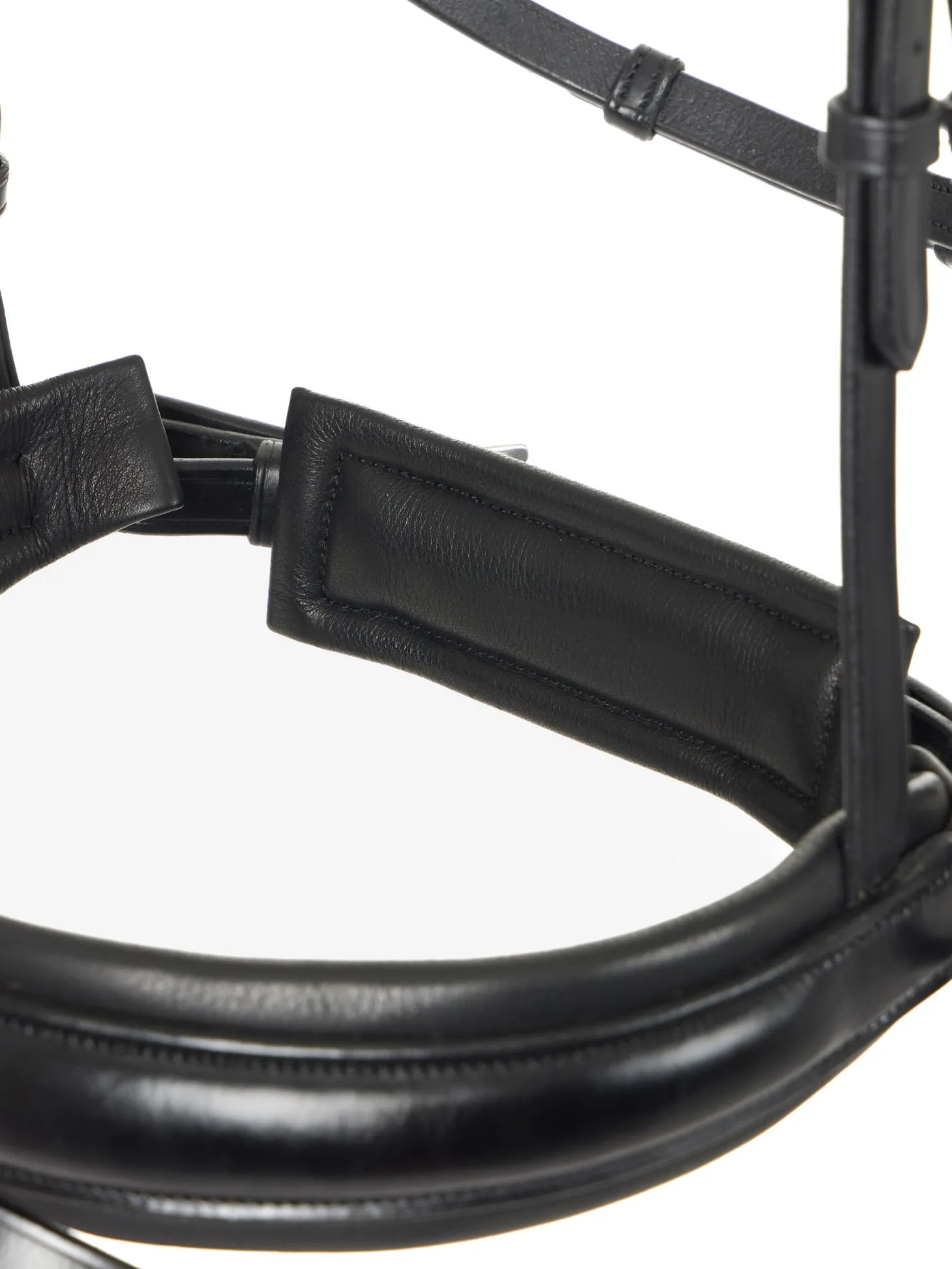 LeMieux® Kudos Dressage Flash Bridle