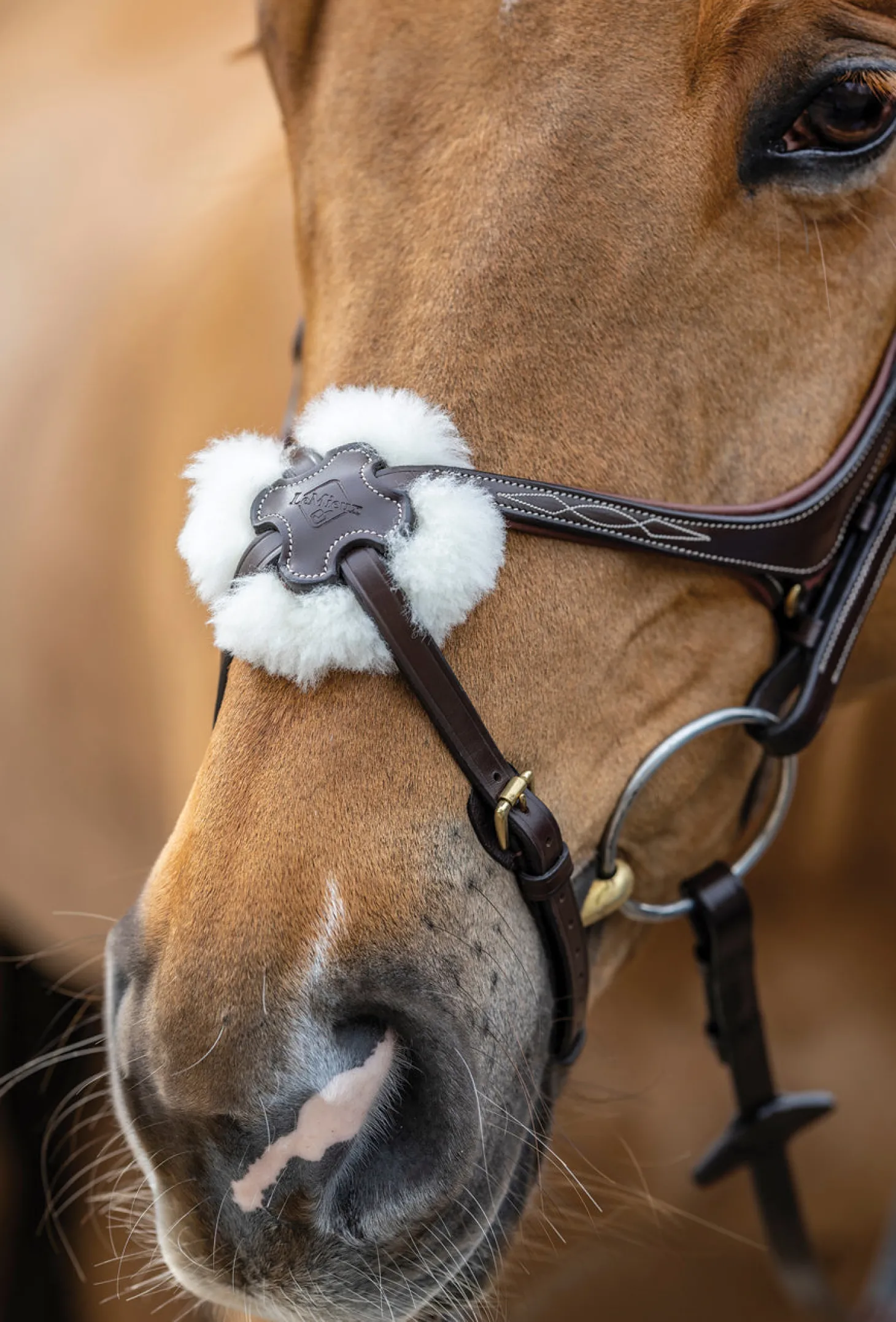 LeMieux® Kudos Figure-8 Bridle