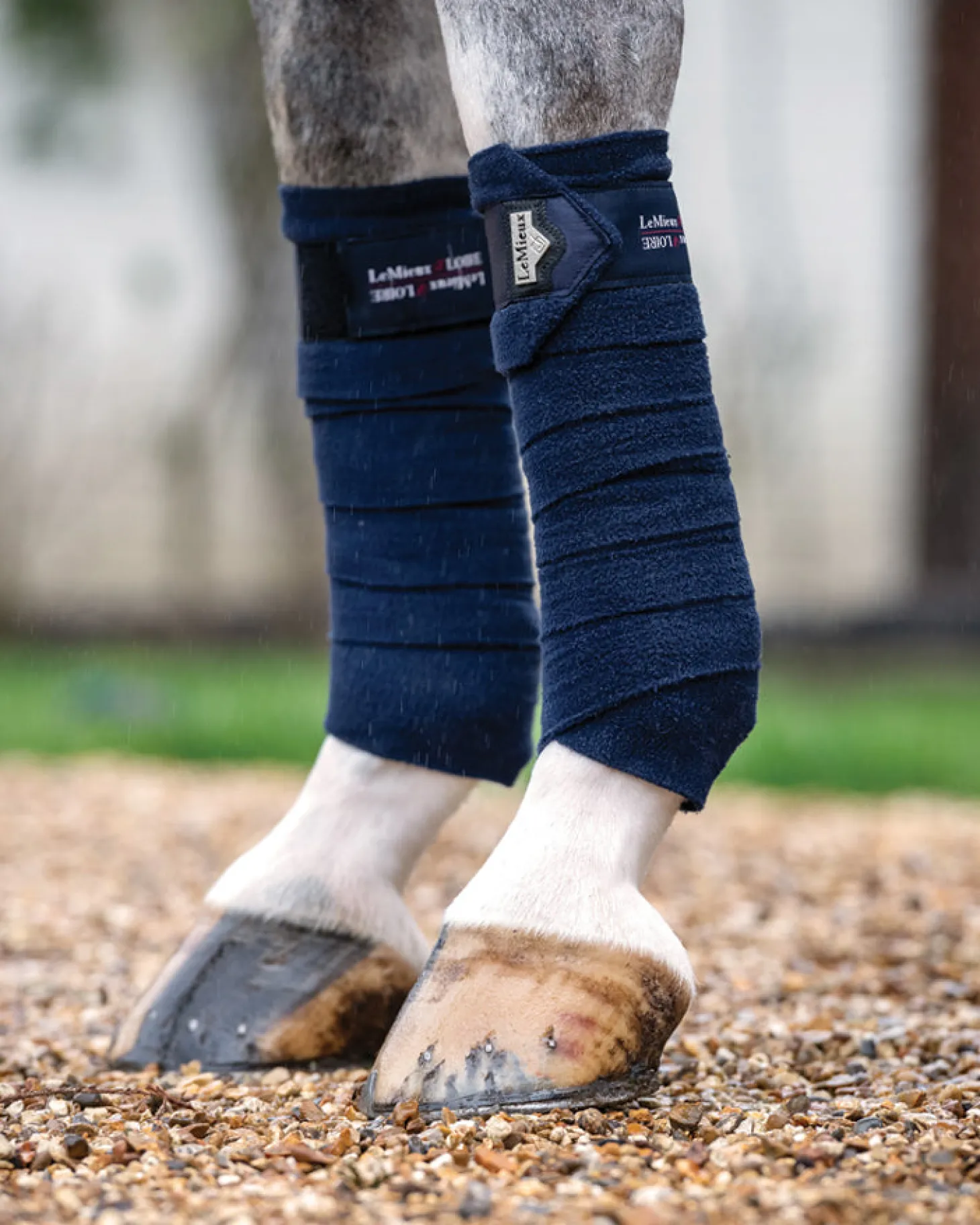 LeMieux® Loire Polo Bandages