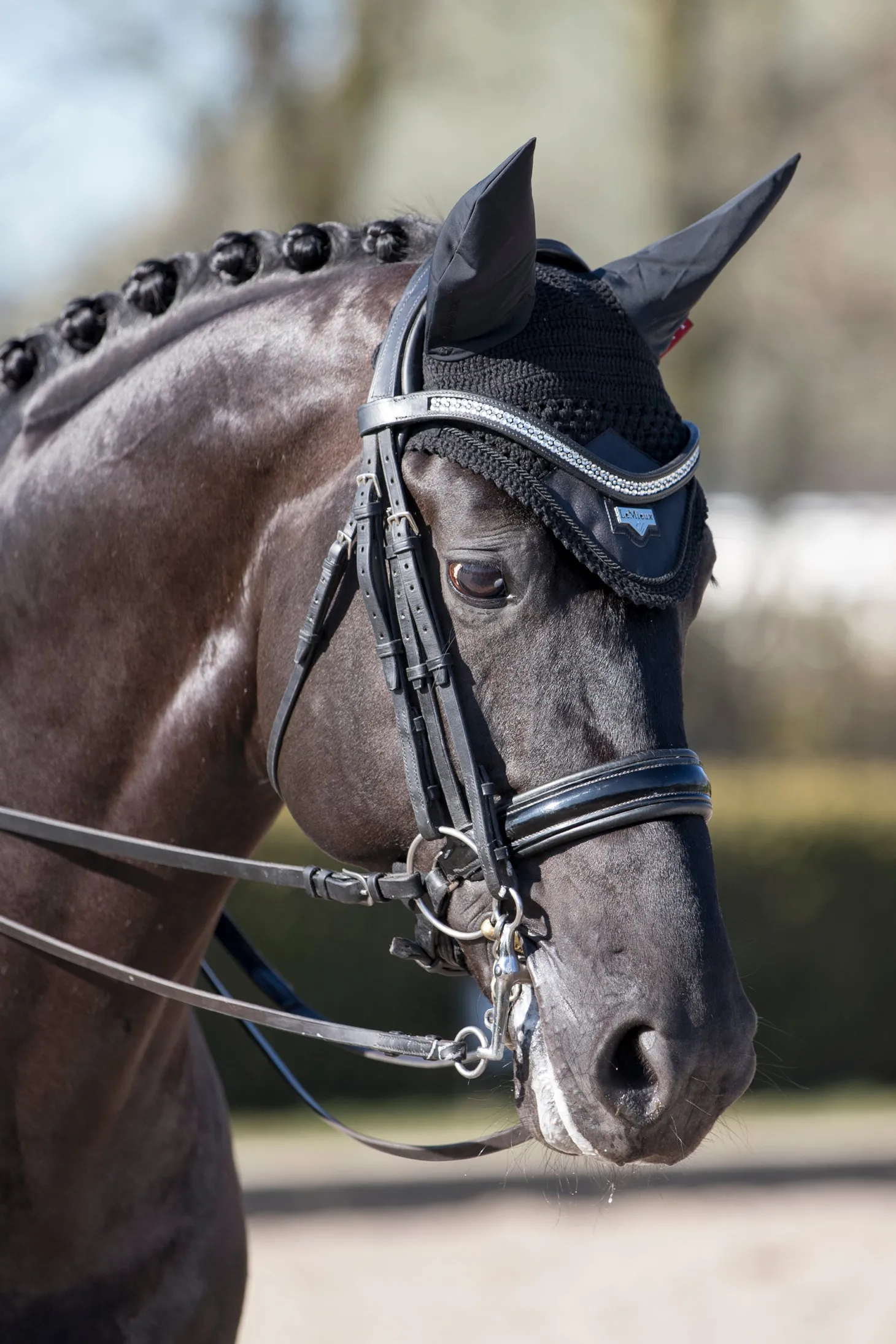 LeMieux® Loire Satin Fly Bonnet