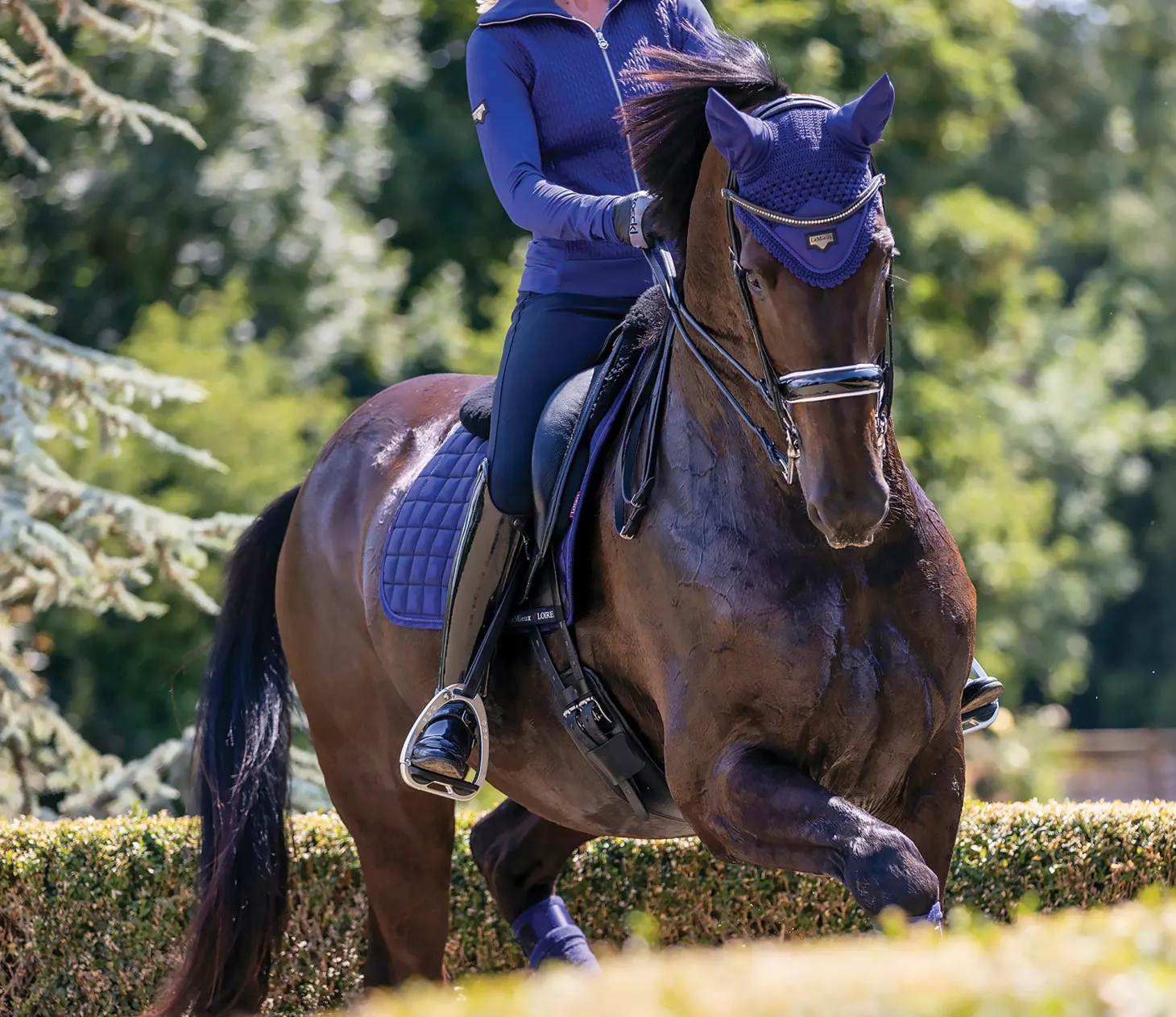 LeMieux® Loire Satin Fly Bonnet