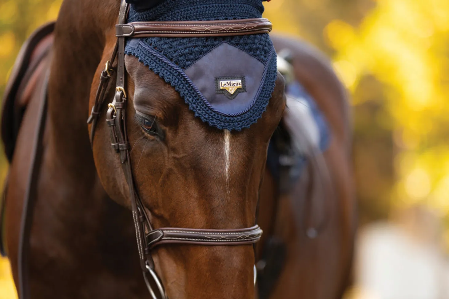 LeMieux® Loire Satin Fly Bonnet