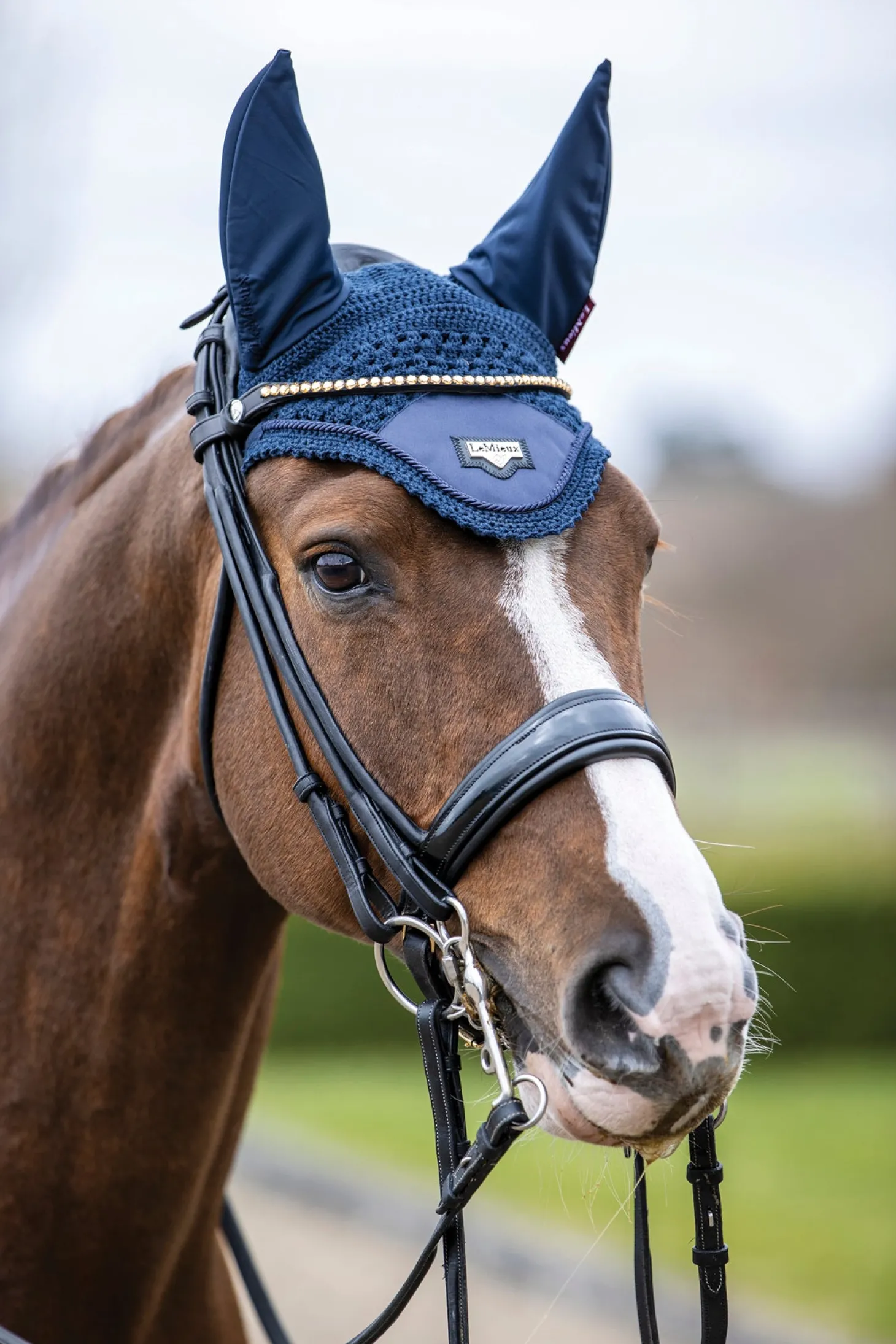 LeMieux® Loire Satin Fly Bonnet
