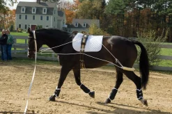 Pessoa Training System