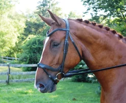 Red Barn Arena Ergonomic Snaffle