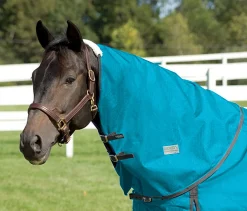 Rider’s International™ Supreme Neck Cover