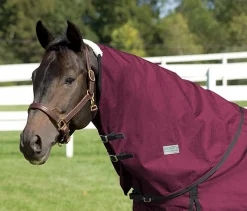 Rider’s International™ Supreme Neck Cover