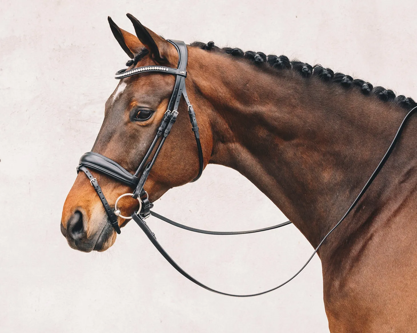 Schockemöhle Malibu Bridle