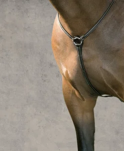Suffolk™ Hunter Breastplate