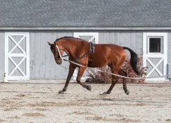 Suffolk™ Side Reins with Elastic