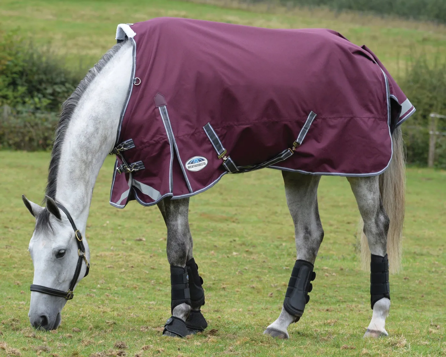 WeatherBeeta® ComFiTec™ Plus Dynamic II Standard Neck Lite Turnout