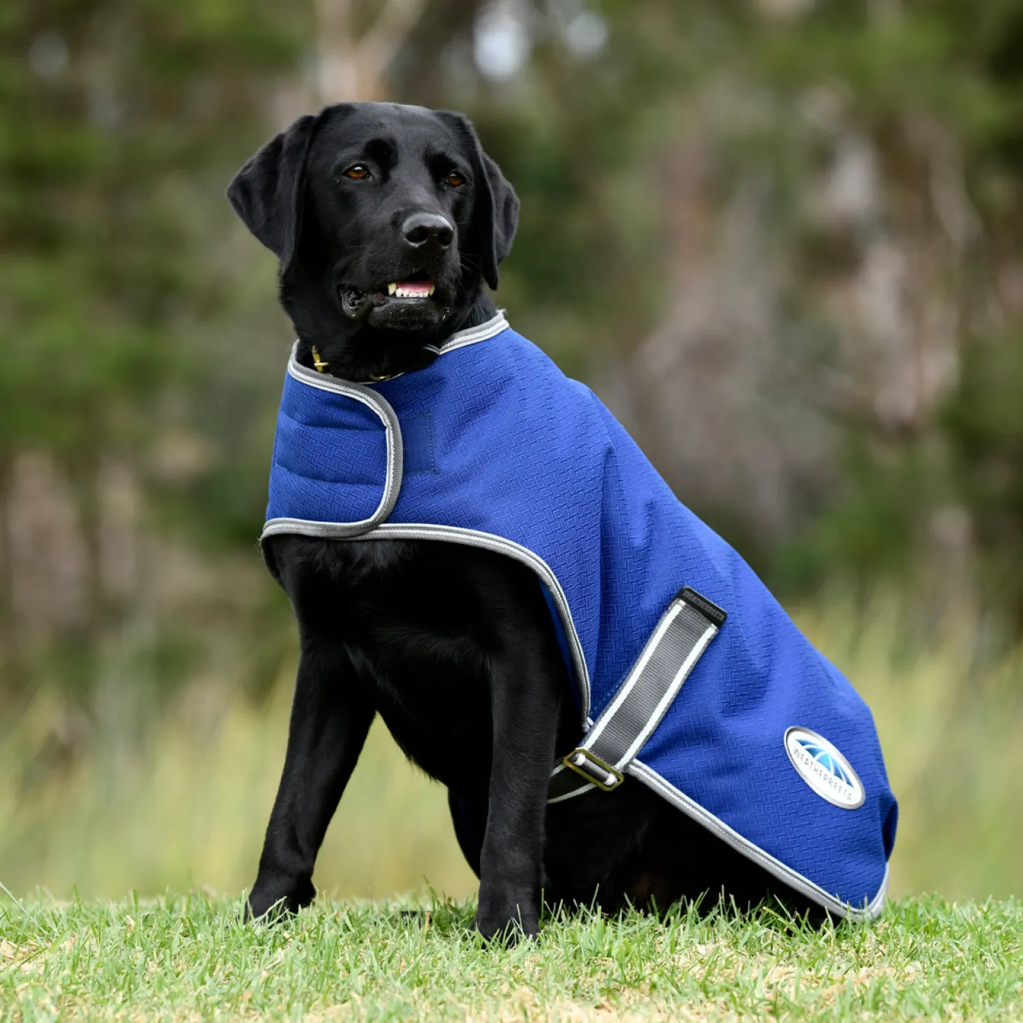 WeatherBeeta® Comfitec Premier Free Parka Dog Coat