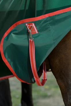 WeatherBeeta® ComFiTec™ Prelim Standard Neck Medium-Weight Turnout Blanket