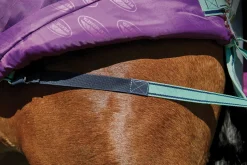 WeatherBeeta® Pony ComFiTec™ Premier Free II Detach-A-Neck Medium-Weight Turnout Blanket